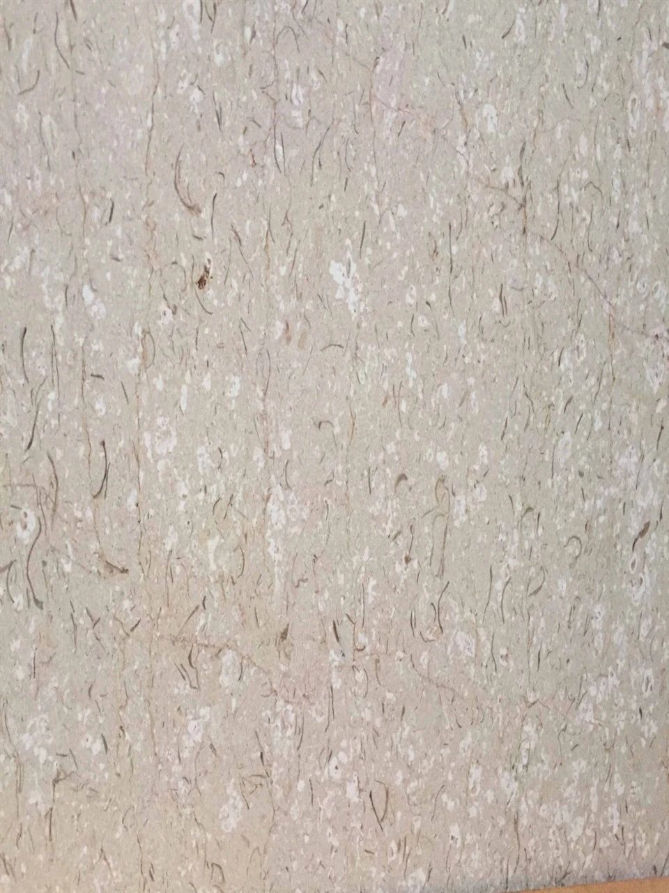 Alice Beige Natural Marble (3)