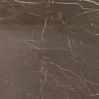 Coffee Silk Marble Flooring